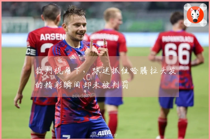 裁判视角下，球迷抓住哈腾拉头发的精彩瞬间却未被判罚
