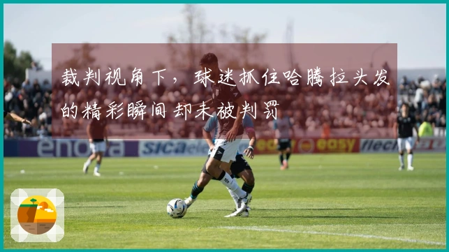 裁判视角下，球迷抓住哈腾拉头发的精彩瞬间却未被判罚